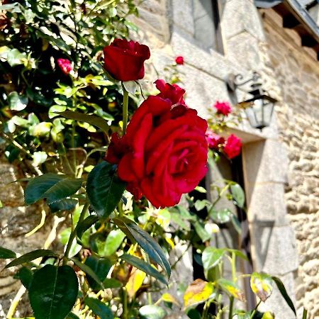 Gite Diamant, Vallee Du Scorff, Nature, Bien-Etre Arzano 外观 照片